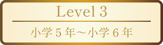 Level 3