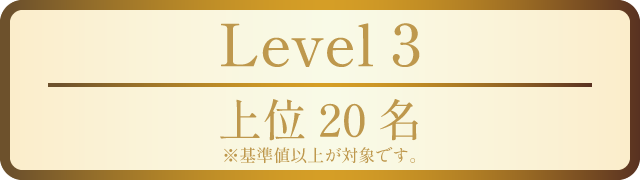 Level 3