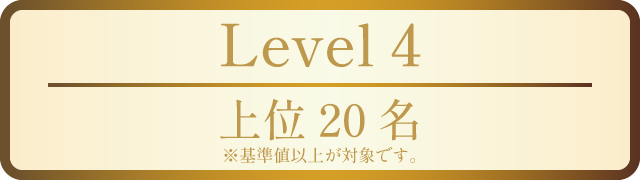 Level 4